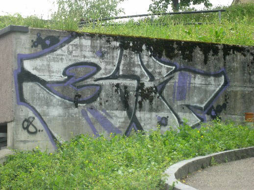 3R Graffiti Witikonerstrasse Zrich-Hirslanden Stadtkreis 7 Schweiz