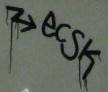 ECSK graffiti tag zrich