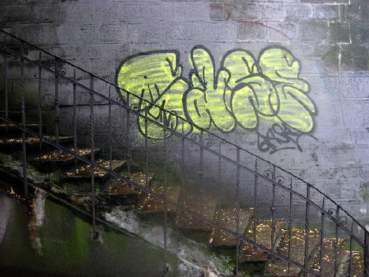 GASE graffiti zrich